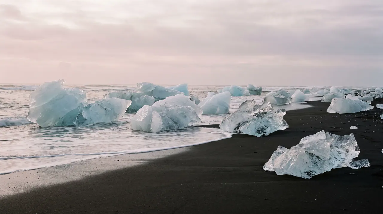 Clear, glassy chunks of ice scattered across a black volcanic beach, a thin wash of white surf behind them and a pale pink sky over the sea.