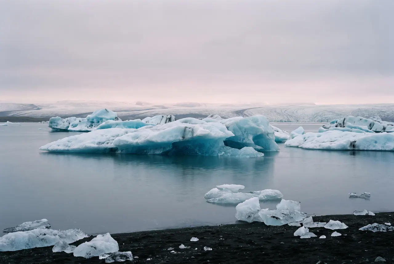 Icebergs float on a still lagoon at dawn, their blue undersides reflected in slate-coloured water, with the tongue of a glacier faint in the distance.