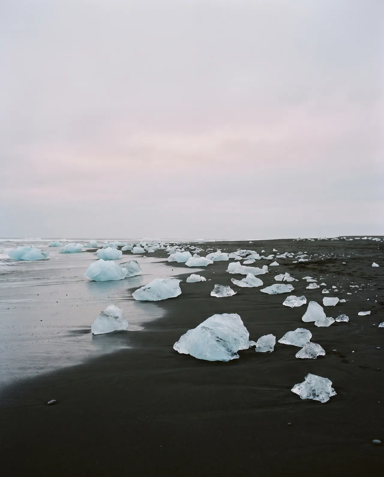 Ice fragments stranded in loose rows along the tideline, half-buried in dark sand, beneath a flat and even overcast sky.
